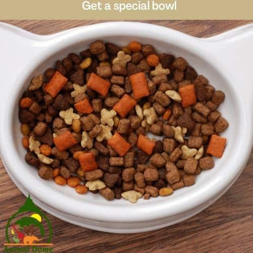 Get a special bowl